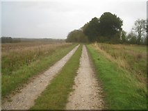 SU6055 : Track to Rookery Farm by Mr Ignavy