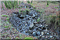 Small stream in Knowecardoch Plantation