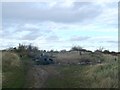 Rubbish Heap on path, South Ockendon