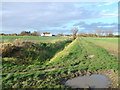 Drain and path towards South Ockendon Hall