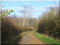 Hall Lane to Fen Farm