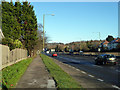 Footpath by the A1