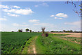 Footpath through the fields