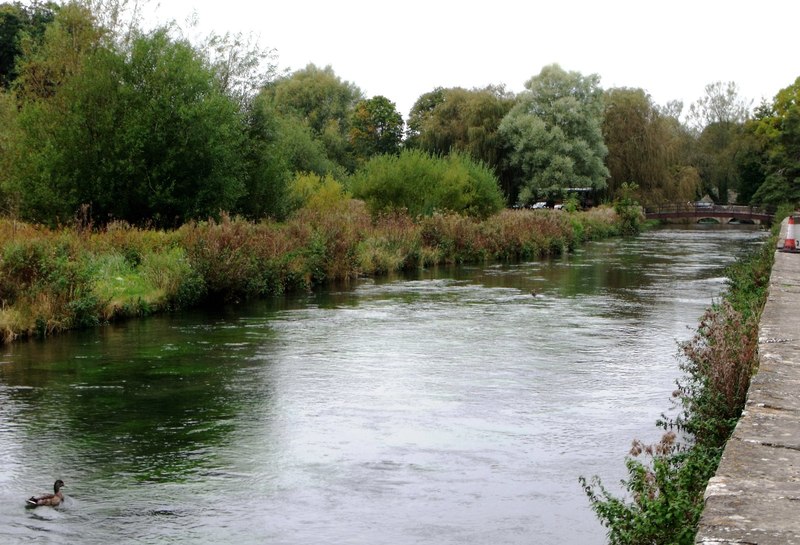 River Coln, Bibury © nick macneill :: Geograph Britain and Ireland