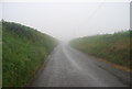 Misty lane to Strete