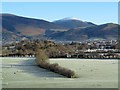 Field north of Little Braithwaite