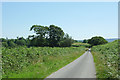 Lane to Tal-sarn, Ceredigion