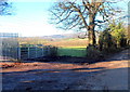 Two gates, Ty Coch Lane, Llantarnam