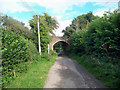 ST8310 : Wessex Ridgeway at Shillingstone by Des Blenkinsopp