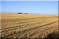 Arable field near Boham