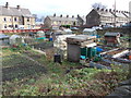 Allotments - Deighton Lane