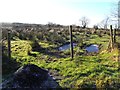 Maine Townland