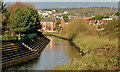 The canal, Newtownards (7)