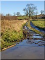 Farm track on Burton Hill