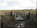 ST2496 : Cattle grid leading onto Mynydd Maen by John Light
