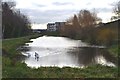 The derelict Dearne and Dove Canal at Swinton