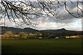 Looking over fields to Edge End Farm