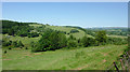 Pasture and woodland west of Betws Bledrws, Ceredigion