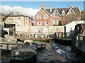 Bristol Zoo Gardens - seal enclosure