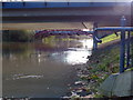 Flooded towpath beneath Upperton Road bridge