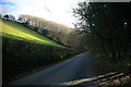 Long Shadows Loveny valley