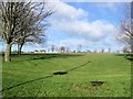 St Helens Park. Hangleton