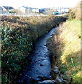 Afon Fach flows towards Pyle railway station