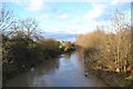 River Rother from Retford Road Bridge