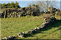 J3958 : Drystone walls near Saintfield (1) by Albert Bridge