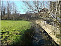 River Dudwell near Etchingham