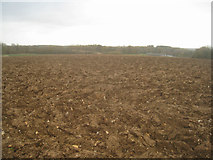 SU6055 : View towards Rookery Farm by Mr Ignavy