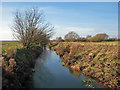 TL4254 : A December morning by Bourn Brook by John Sutton