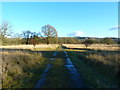 Path, Calderstones Cemetery