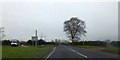 Tower Cross on the A35