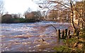 The Swale at Topcliffe Mill