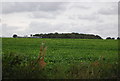 Farmland by Nacton Rd