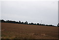 Farmland by Nacton Rd