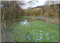 Flooding along the River Soar