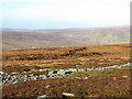 NY6647 : Panorama from Grey Nag (2: NW - the cleugh of Gelt Burn) by Mike Quinn