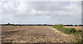 TQ9929 : Ploughed field, Whitehall Farm by N Chadwick