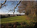 House below Shute Hill Woods