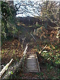 TQ7224 : Footbridge and Stile near Bugsell Farm by David Anstiss