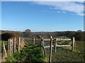 Footpath junction near Bugsell Farm