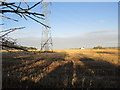 Electricity pylon at Nairnside