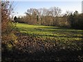 Field at Silver Street