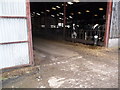 Cattle shed at Kemeys House Farm