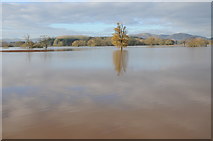 SO8544 : Flooding near Severn Stoke by Philip Halling
