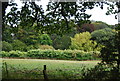 Fields opposite Nacton Church