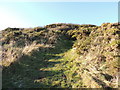 Stairhaven Coastal Path