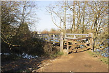SP4808 : Thames Path footbridge SE of Godstow Lock by Roger Templeman